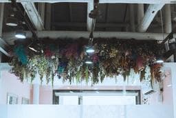 Season5春芽店