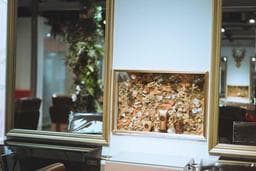 Season5春芽店