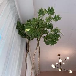 美齋髮型工作室