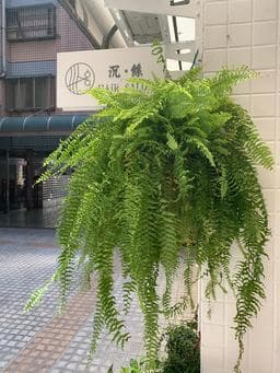 沉絲沙龍