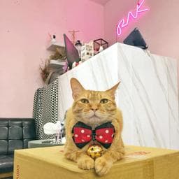 RNK Lounge studio | StyleMap美配