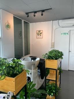 VERA韓式髮型/頭皮/髮療概念館