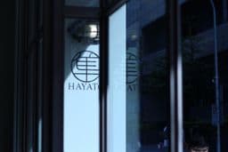 Hayato hair
