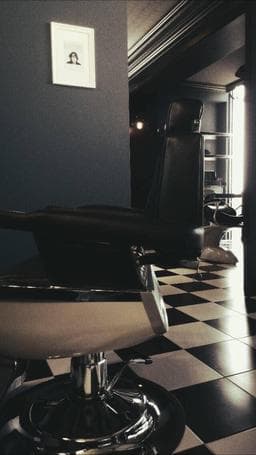 AVEC SALON