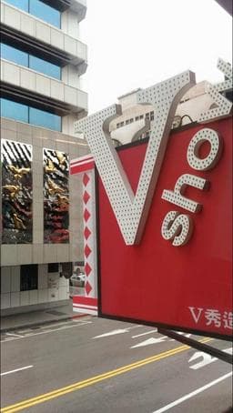 V秀髮藝