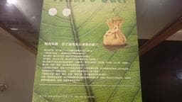 傳奇髮型裕民店