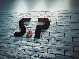 S.P創意美學