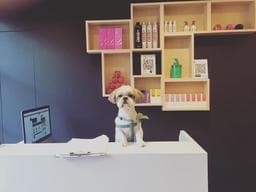 Inn Hair Salon