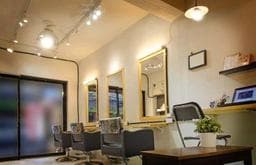 lotus hair styling
