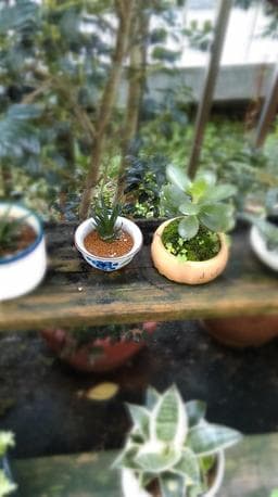髮妃工作室