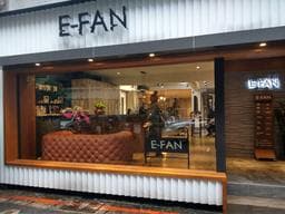 E-FAN