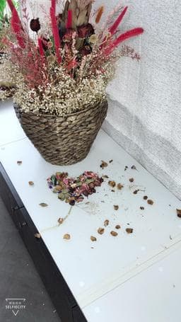 漫典髮型殿堂