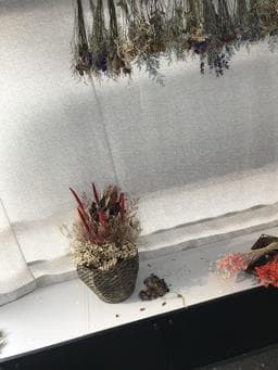 漫典髮型殿堂