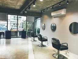 WZ studio