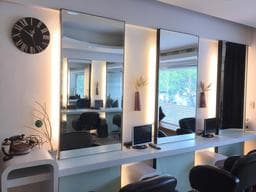 Fly hair salon