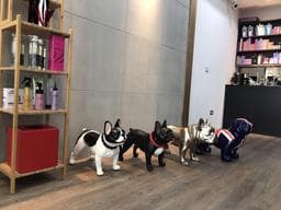 Zoss color 基隆東岸店