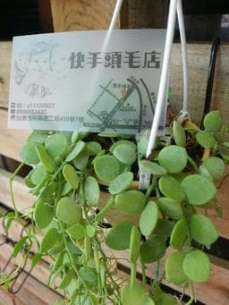 快手頭毛店