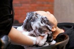 L.F Hair Salon
