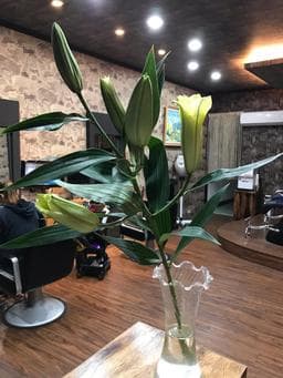 花漾髮舍沙龍