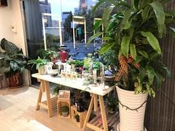 曼都髮型鹿港店
