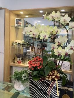 曼都髮型鶯歌店