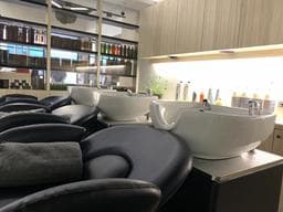 新技專業髮型美容-高雄五甲店