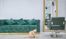 Location 座。髟 Hair Salon
