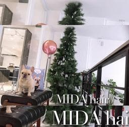 MIDA hair