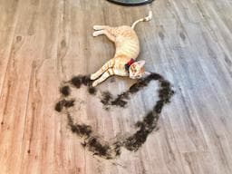 ChansBe Hair Salon 芊絲碧髮廊